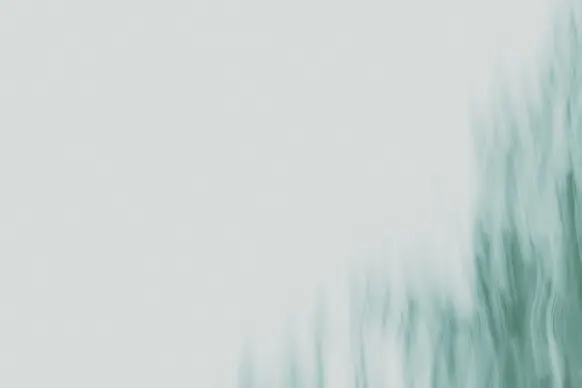 קזינו ויילד טורנדו תמיכה